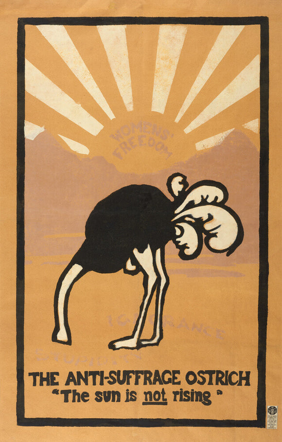 The anti-suffrage ostrich. The sun is not rising. Women's Freedom