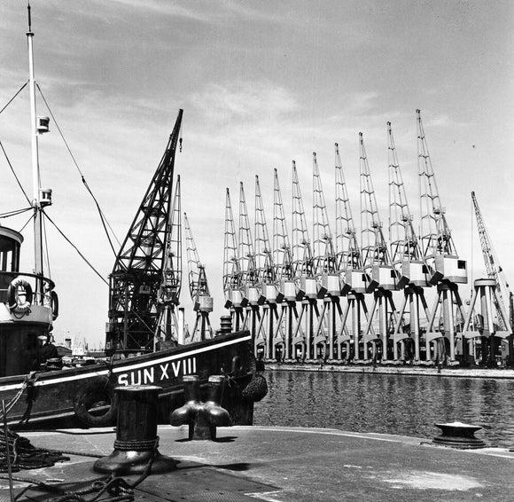 Cranes, West India Dock: 1962