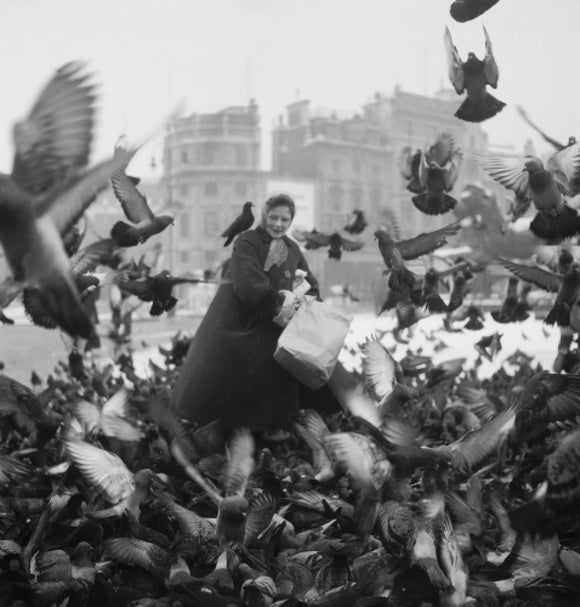 Feeding the pigeons in Trafalgar Square: 20th century