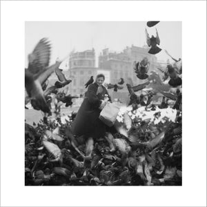 Feeding the pigeons in Trafalgar Square: 20th century
