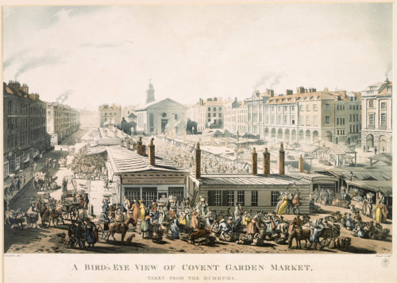 A Bird's Eye View of Covent Garden Market, Taken from the Hummums: 1811