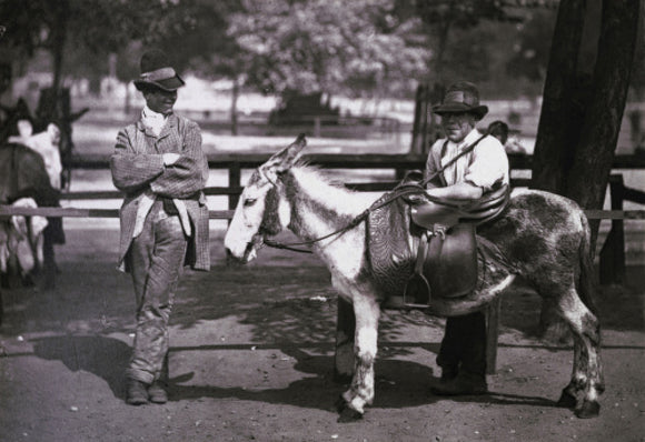 A donkey for hire on Clapham Common, c.1877.