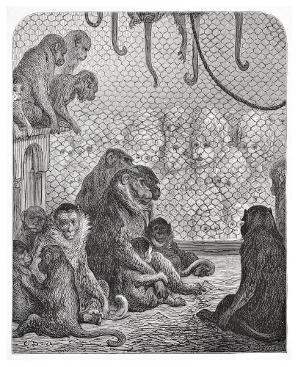 Zoological Gardens - the monkey house: 1872