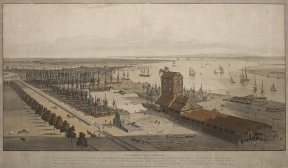 A View of the London Dock from the west; 1808