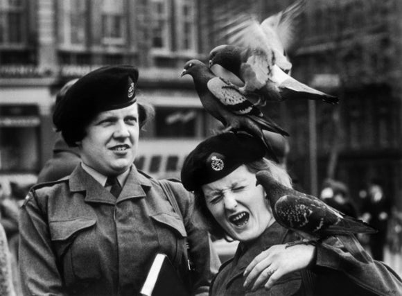 Women in uniform: 1961