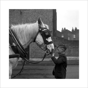 A young boy strokes horse. c.1955