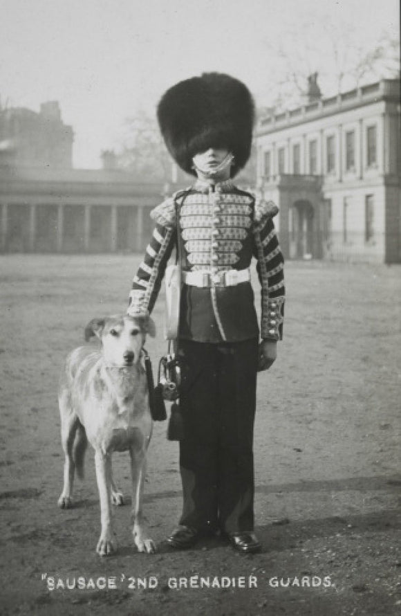 'Sausage' the Grenadier Guards regimental mascot with a bugler